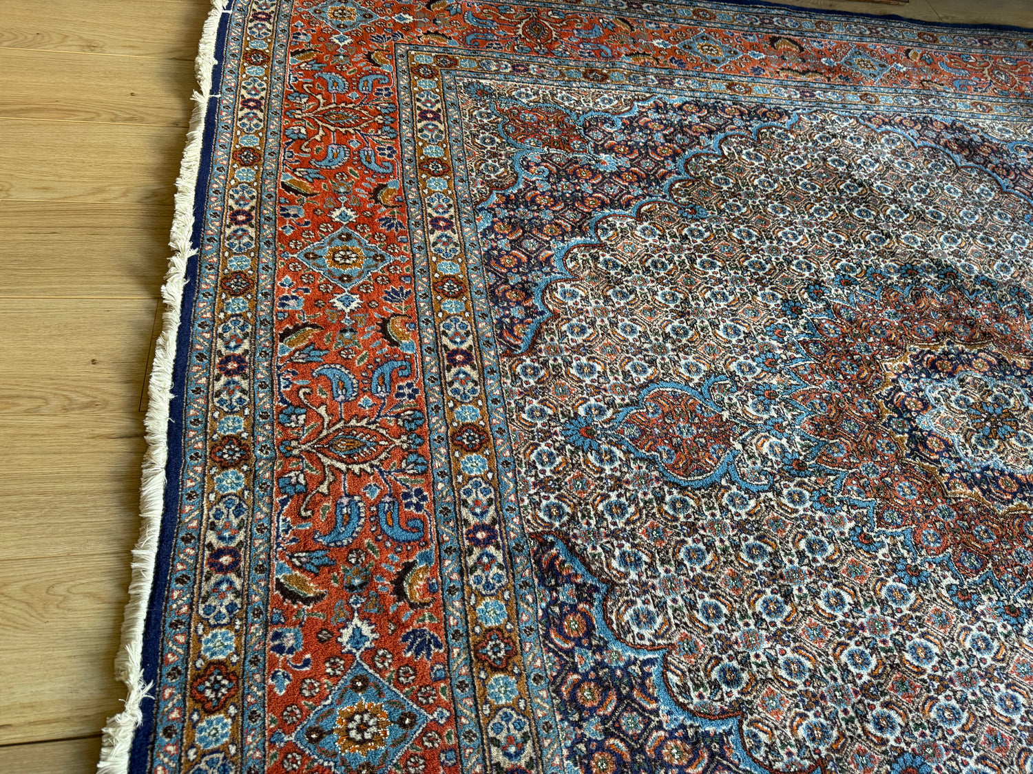 Handgeknoopt klassiek medaillon tapijt, ( vierkant ) rijk rood &amp; blauw – 253 × 246 cm